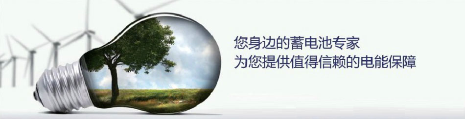 友联蓄电池专家
